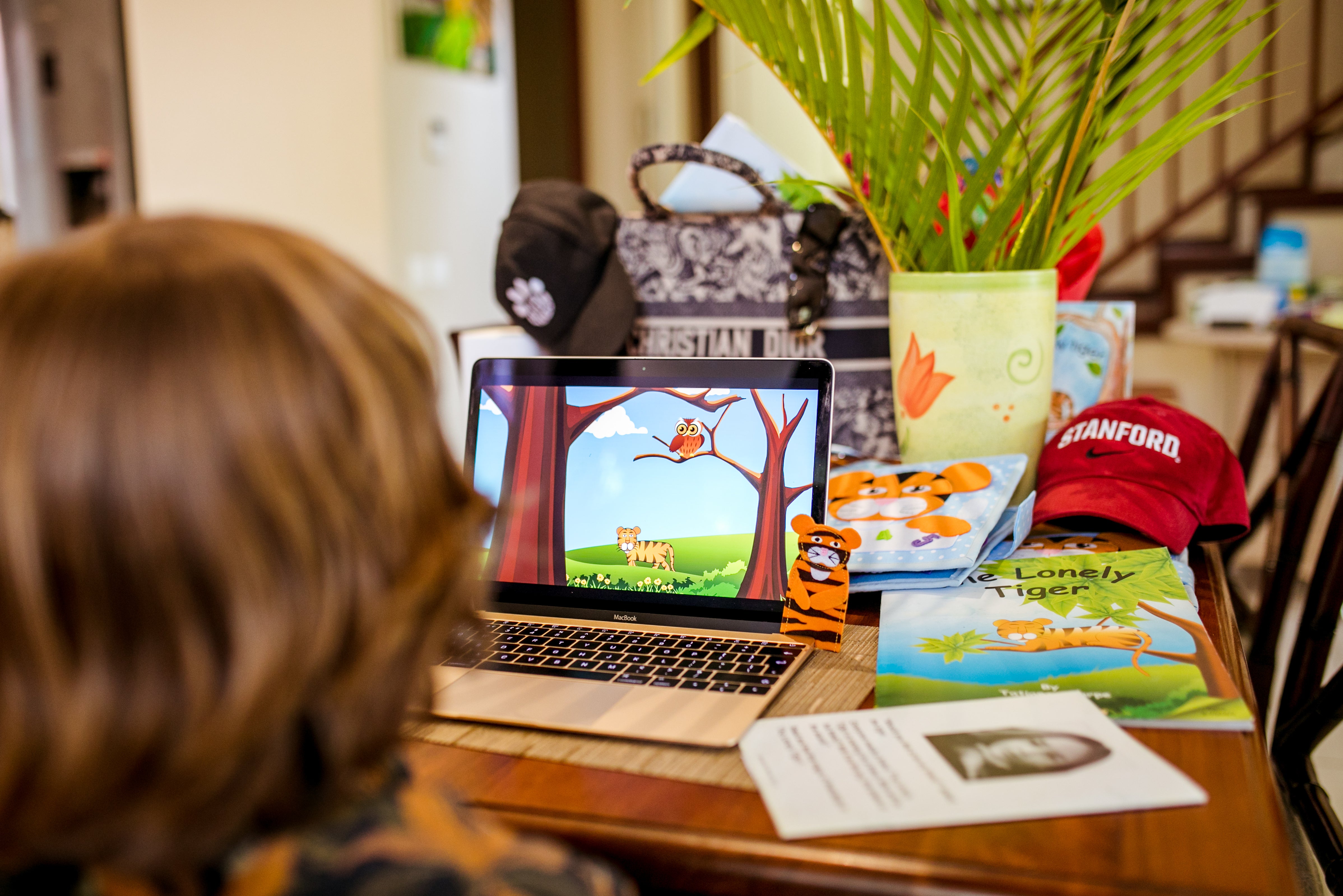 Limited Package Offer: Animation and E- Books