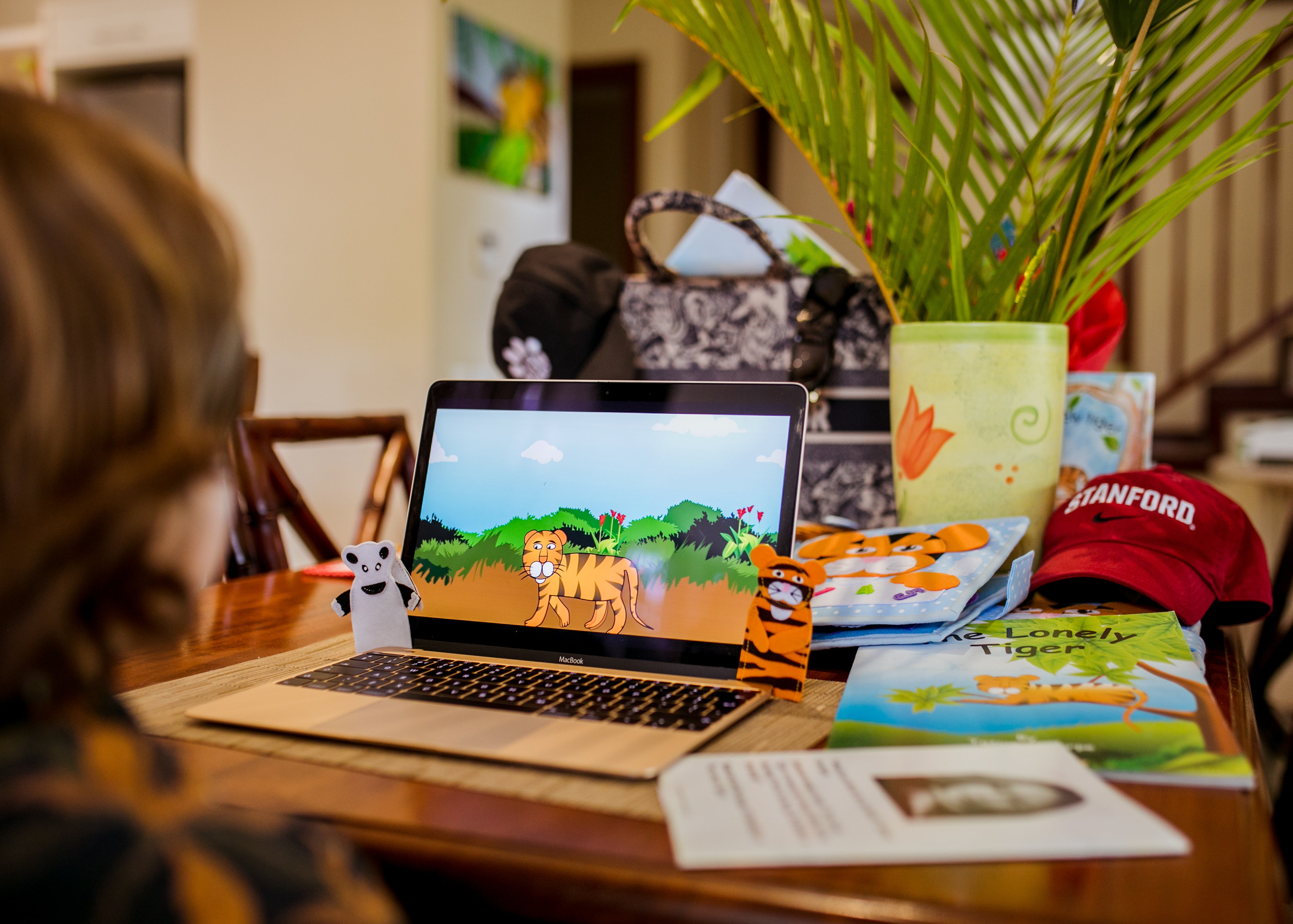 Limited Package Offer: Animation and E- Books