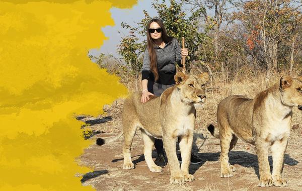 How I Fell in Love with The Lonely Tiger