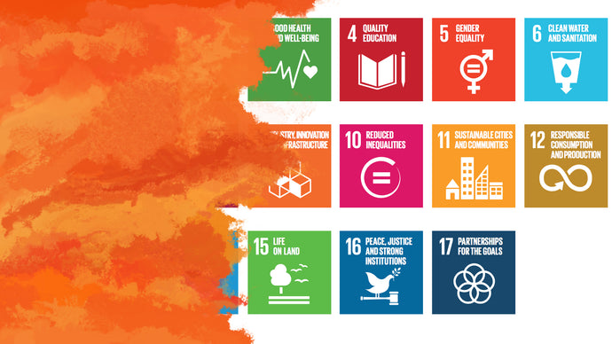 A Guide To the United Nations Sustainable Development Goals